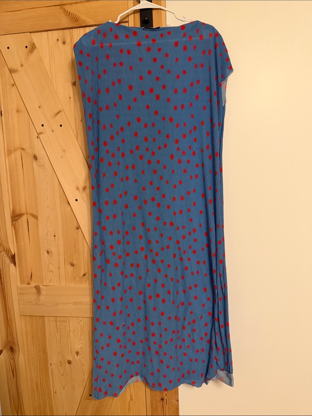 Zara Blue & Red Polka Dot Women's Dress